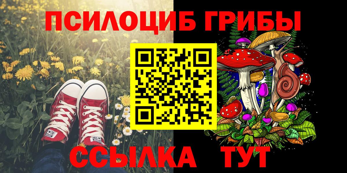 Семёнов  Галлюциногенные грибы Psilocybine cubensis  Вход с VPN 